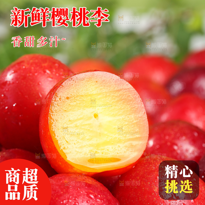 浅底上的樱桃李