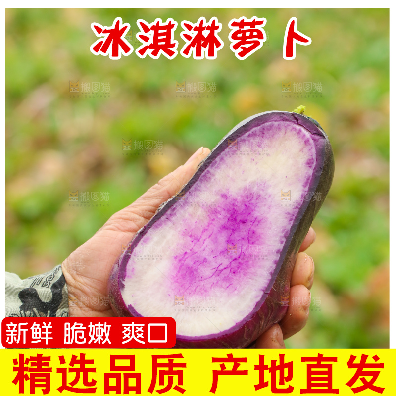 手里拿着冰淇凌萝卜