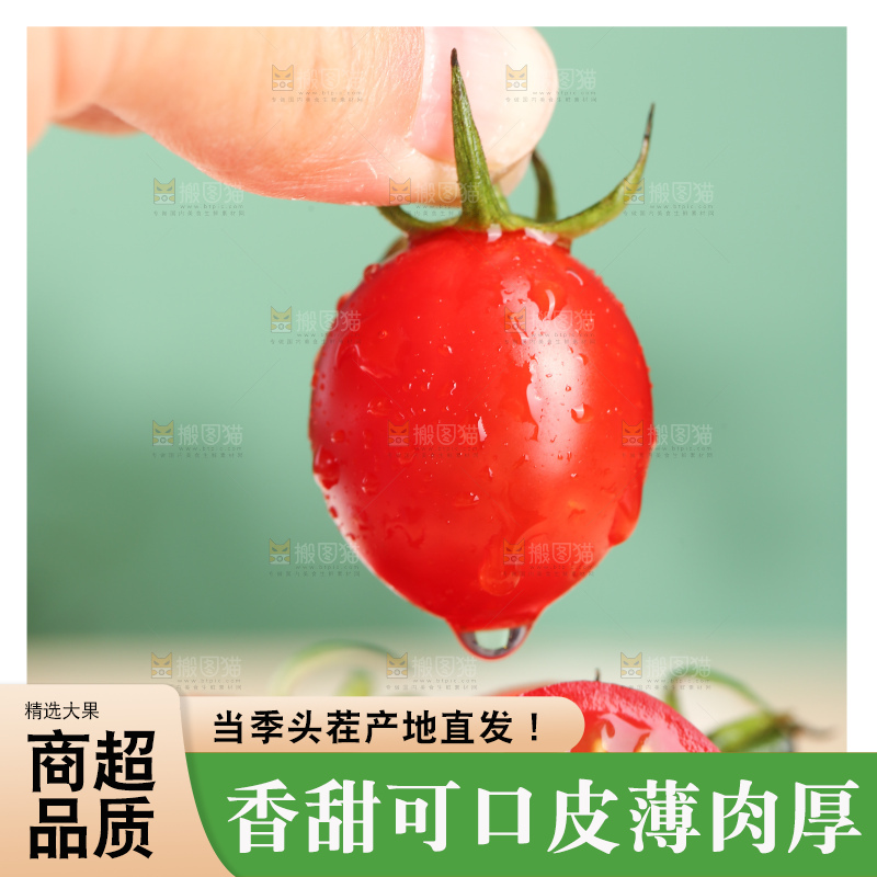 浅底上的圣女果