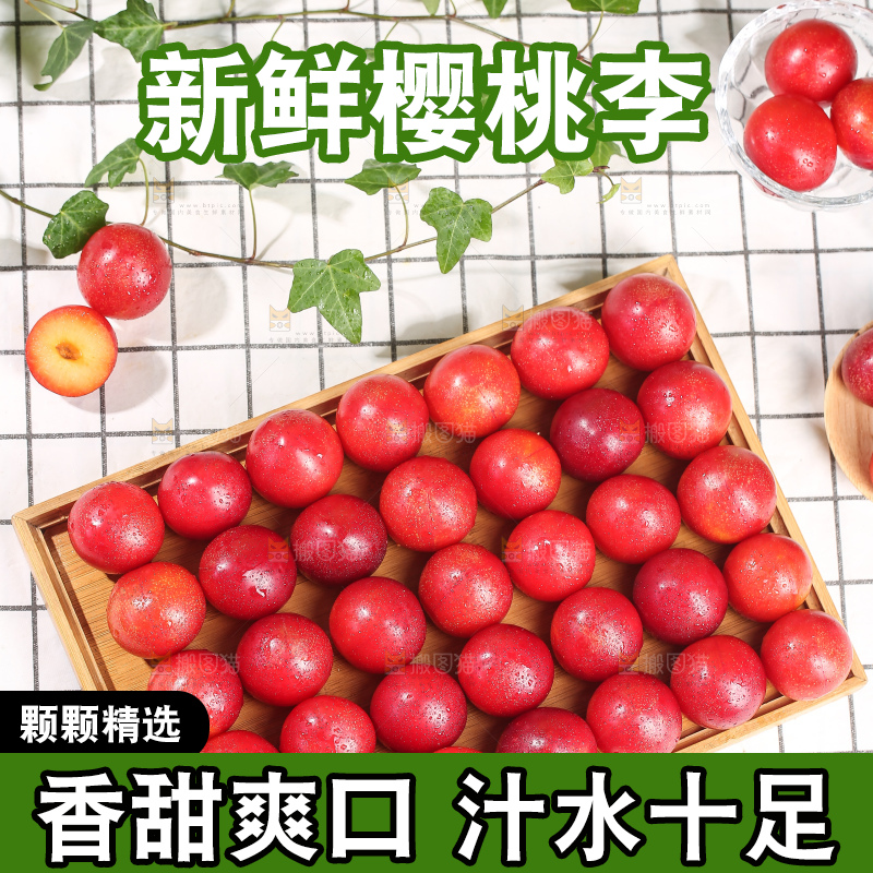 浅底上的樱桃李