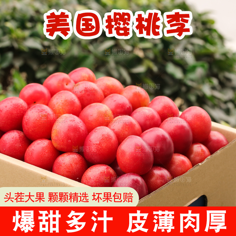 深底上的樱桃李
