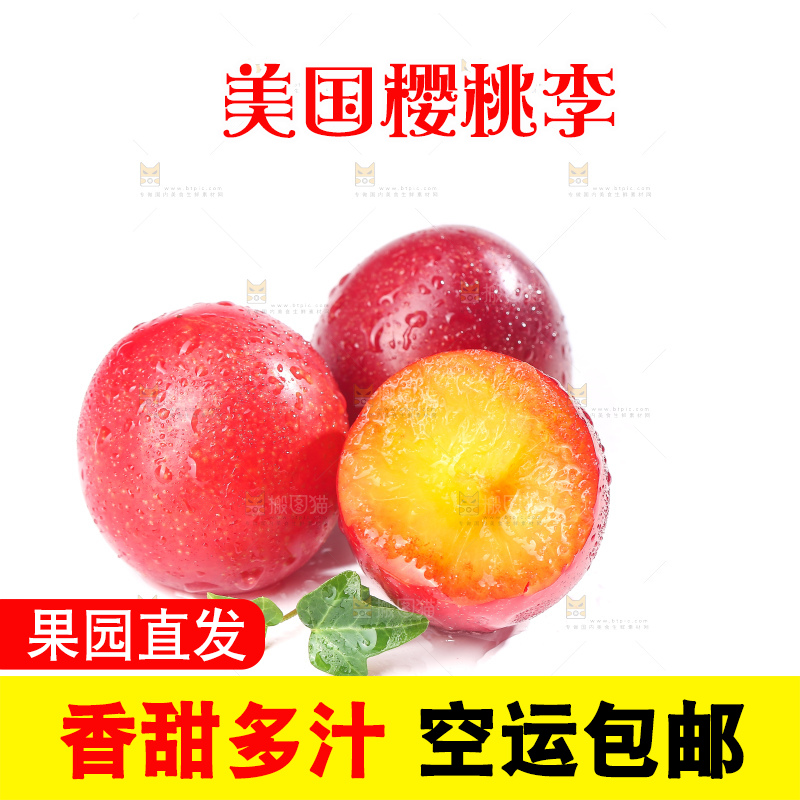 白底上的樱桃李