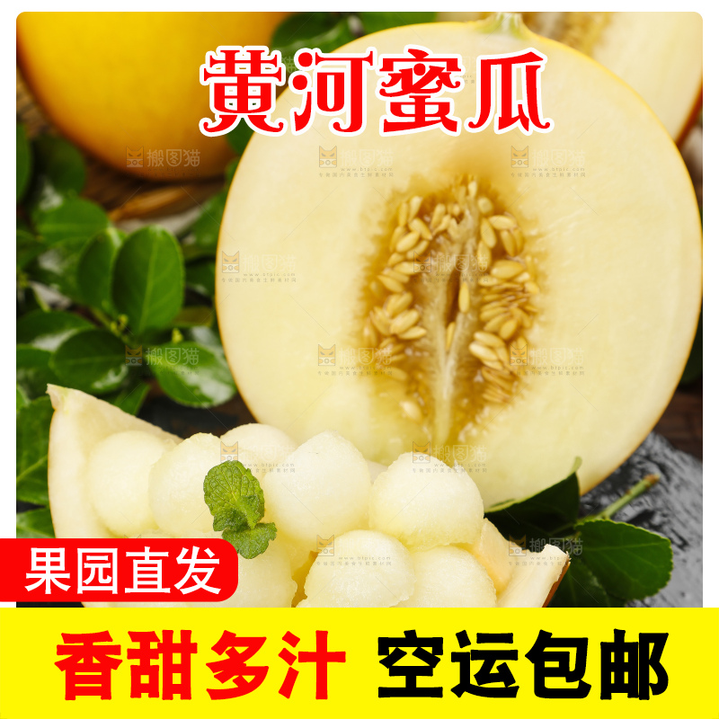 深底上的黄河蜜瓜