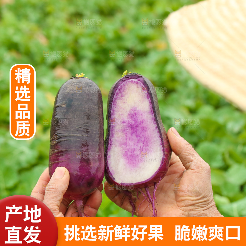 手里拿着冰淇凌萝卜