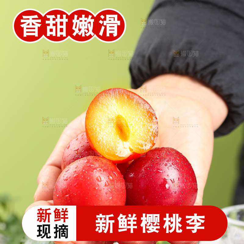 浅底上的樱桃李