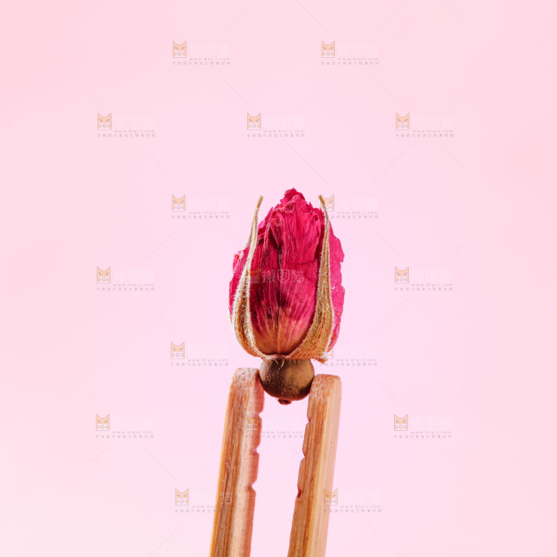 浅底上的玫瑰花干