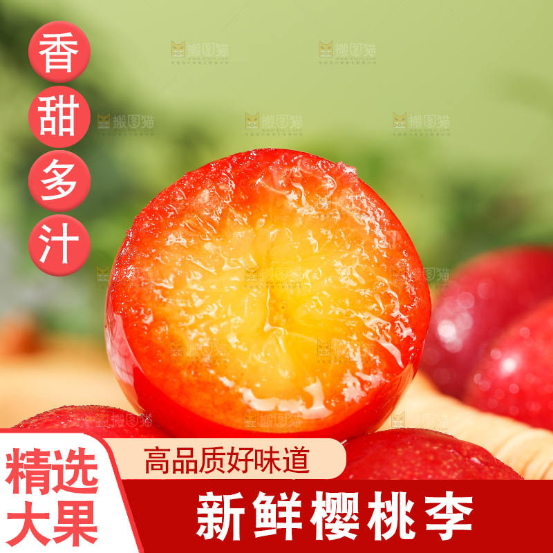 浅底上的樱桃李