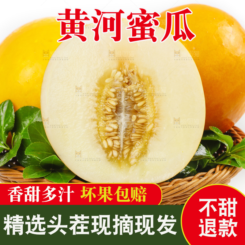 白底上的黄河蜜瓜