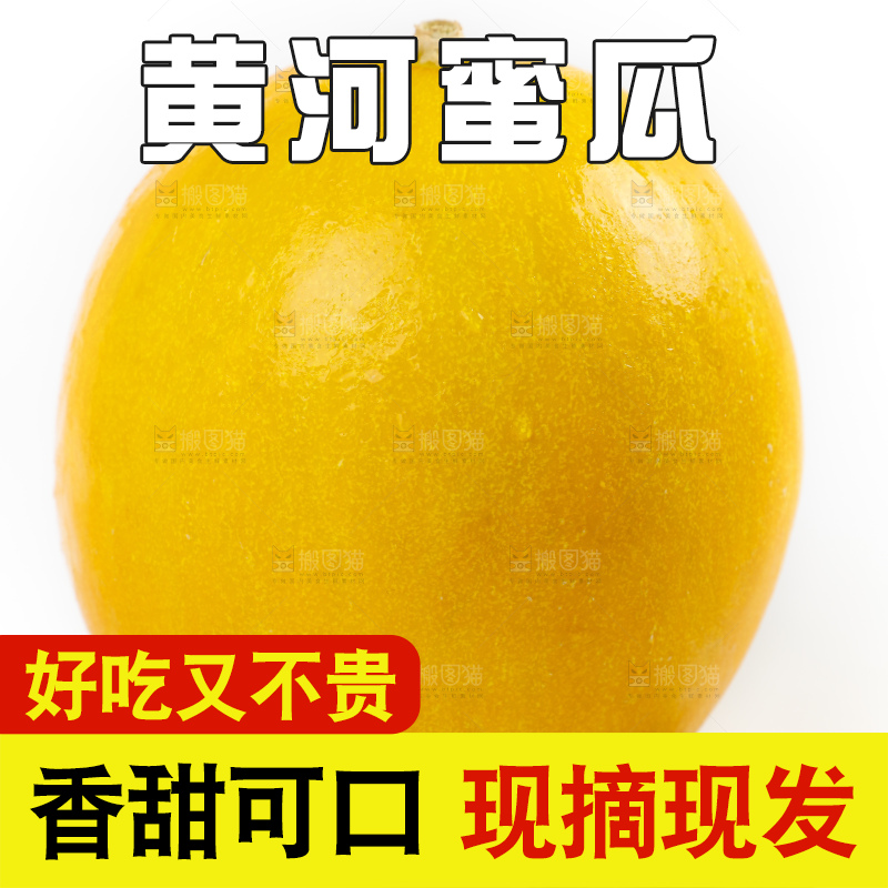 白底上的黄河蜜瓜