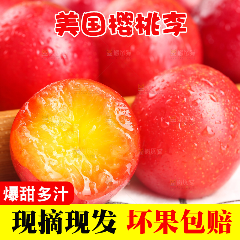 浅底上的樱桃李