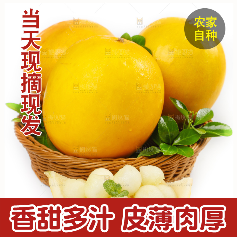 白底上的黄河蜜瓜