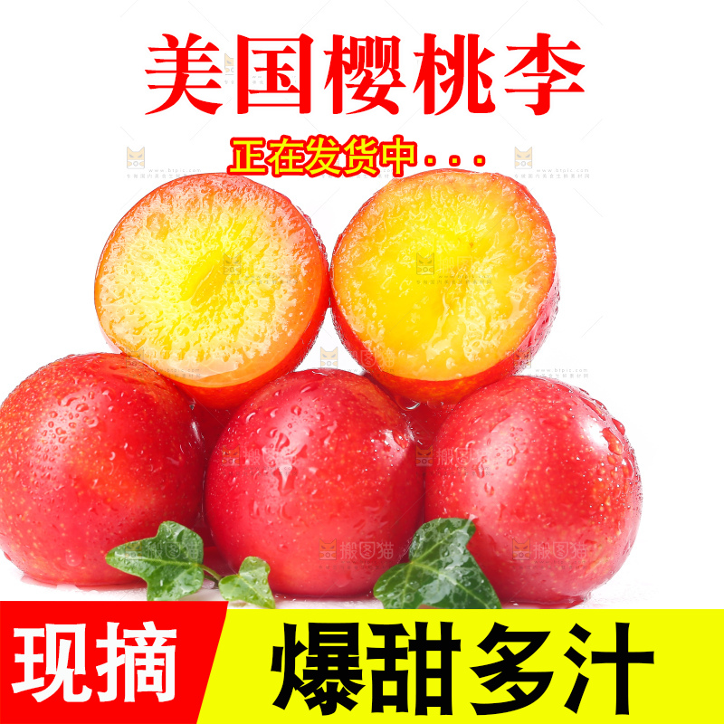 白底上的樱桃李