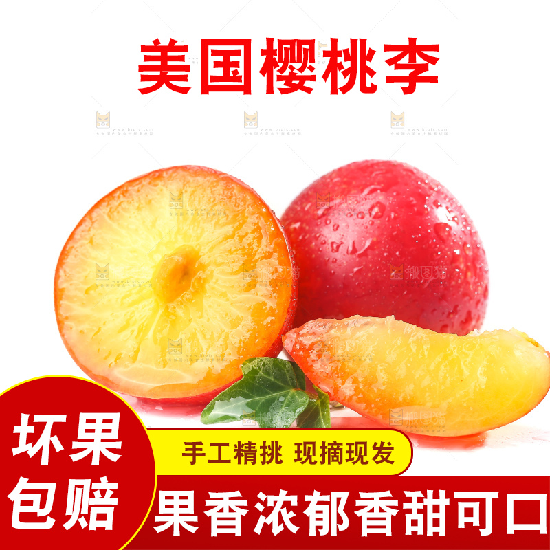 白底上的樱桃李