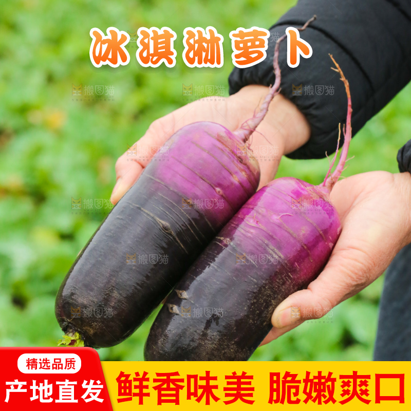 手里拿着冰淇凌萝卜