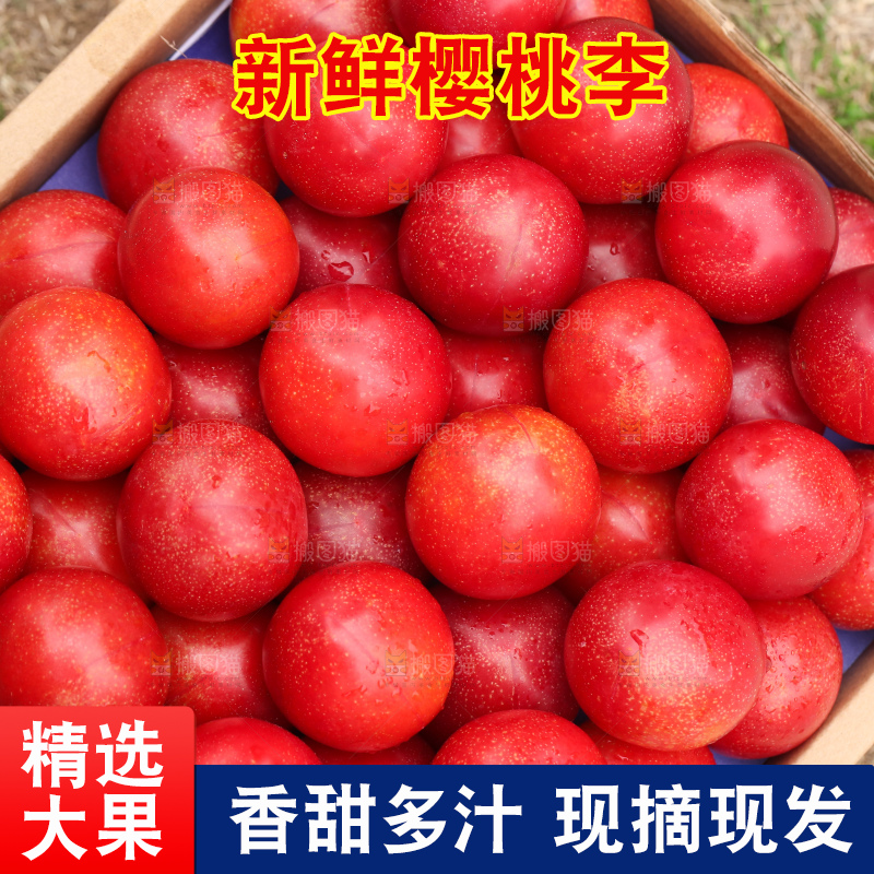 深底上的樱桃李