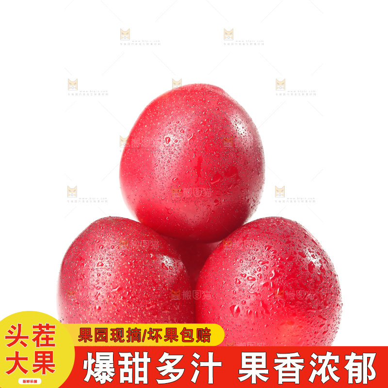 白底上的樱桃李