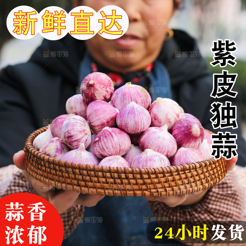 手里拿着紫皮独头蒜