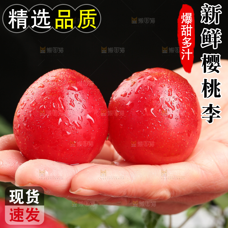 深底上的樱桃李