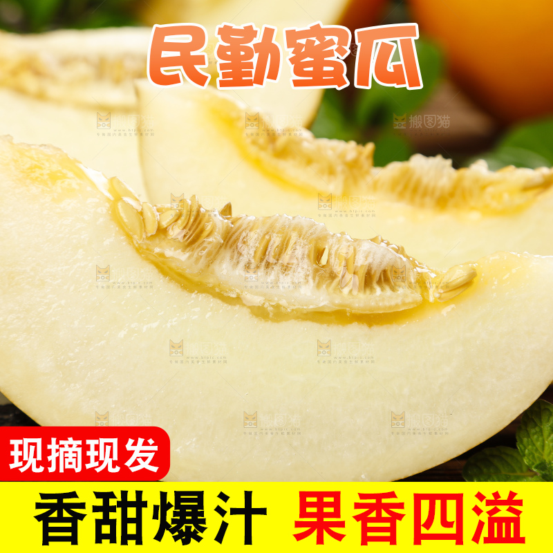 深底上的黄河蜜瓜