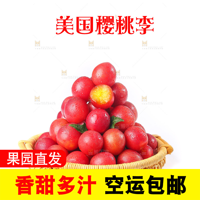 白底上的樱桃李