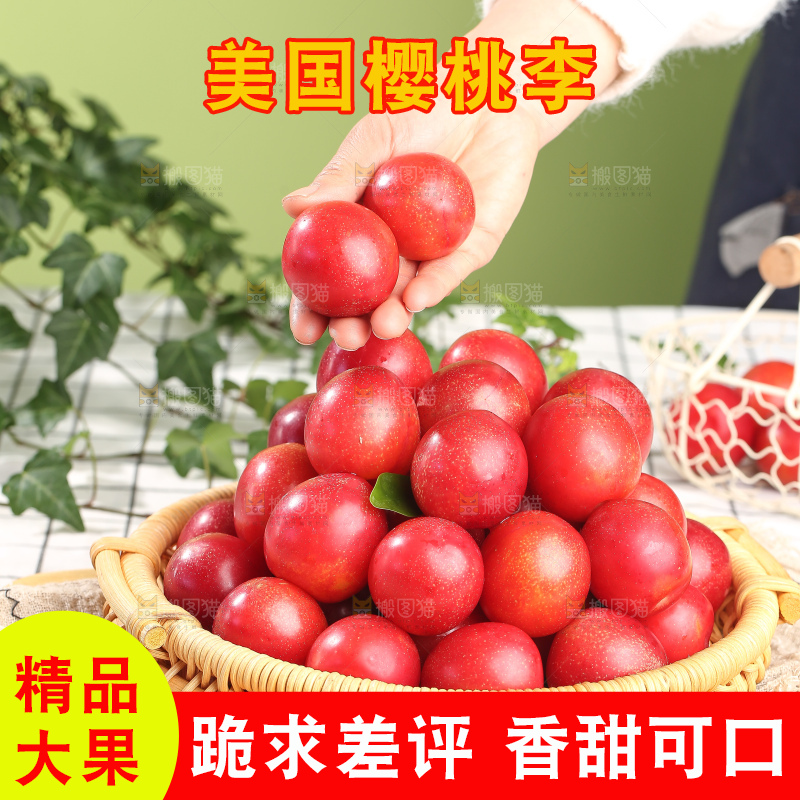 浅底上的樱桃李