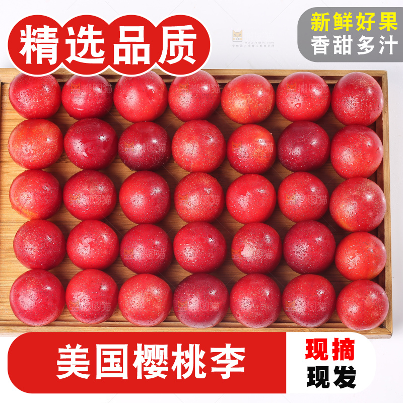 白底上的樱桃李