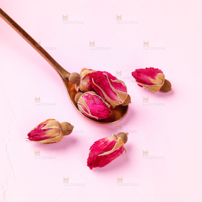 浅底上的玫瑰花干