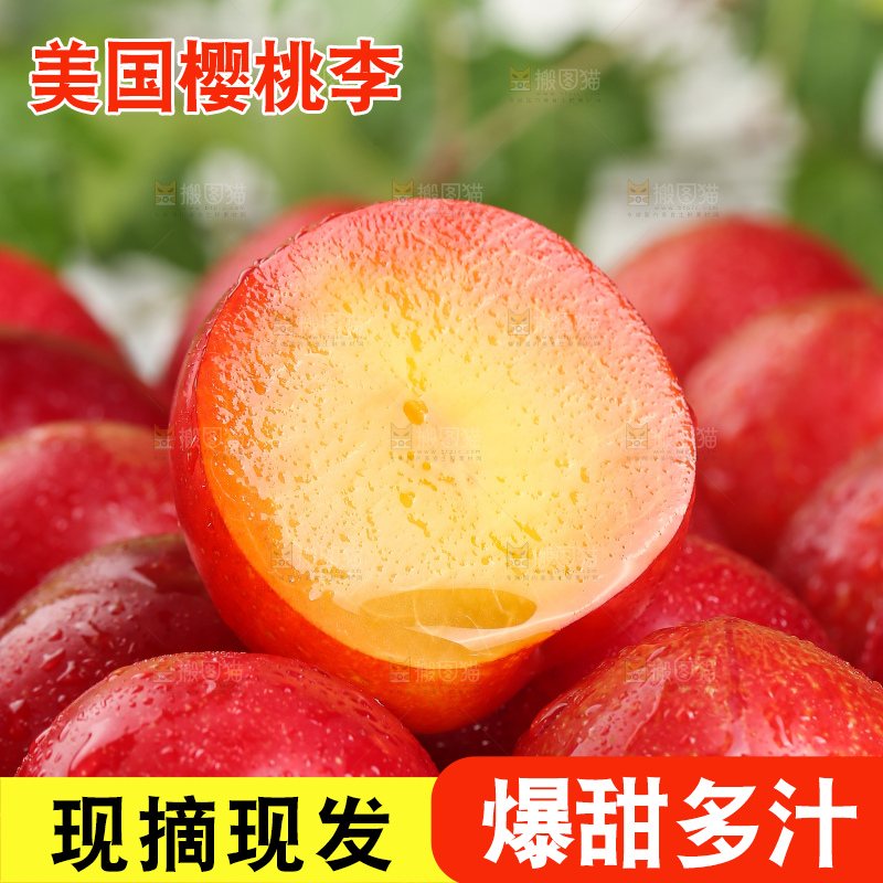 浅底上的樱桃李