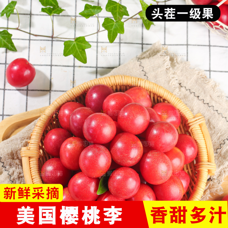 浅底上的樱桃李