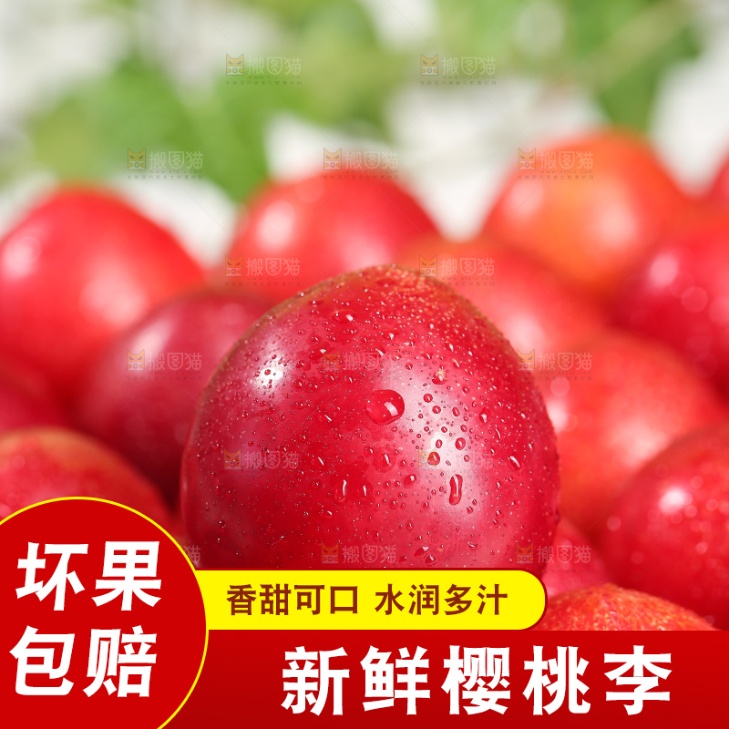 浅底上的樱桃李