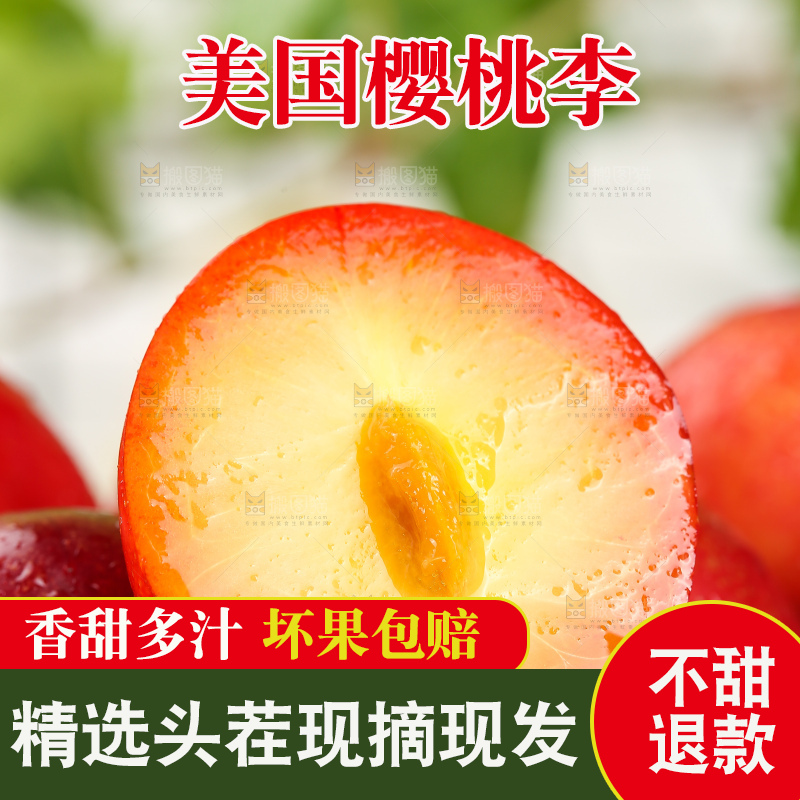 浅底上的樱桃李