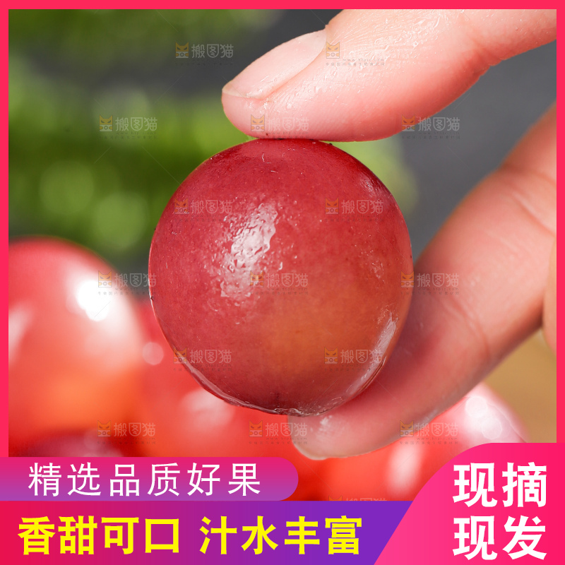 深底上的妮娜皇后葡萄