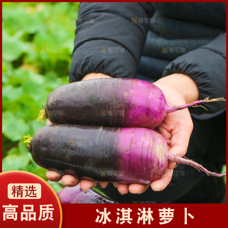 手里拿着冰淇凌萝卜