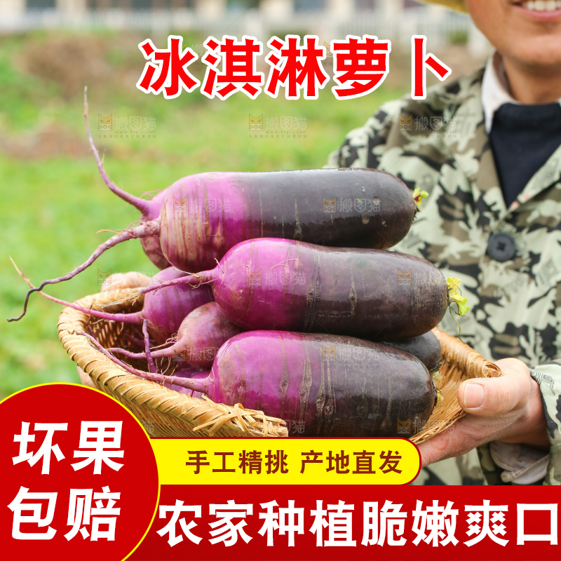 手里拿着冰淇凌萝卜