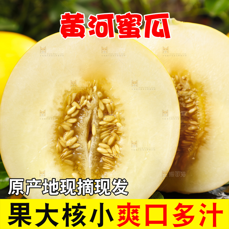 深底上的黄河蜜瓜