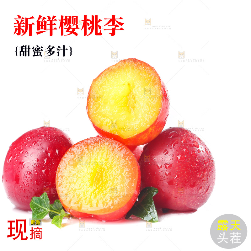 白底上的樱桃李