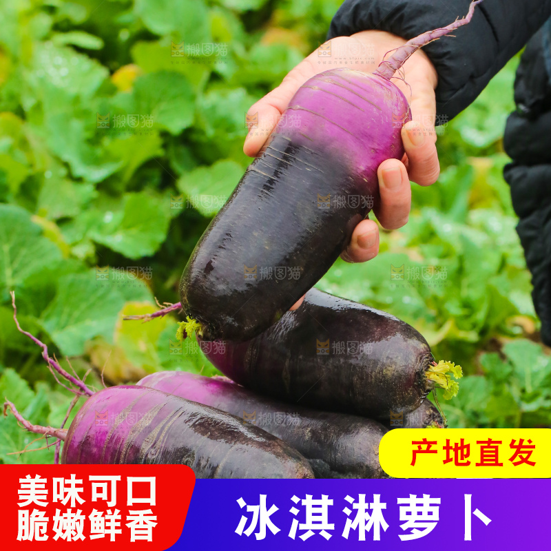 手里拿着冰淇凌萝卜