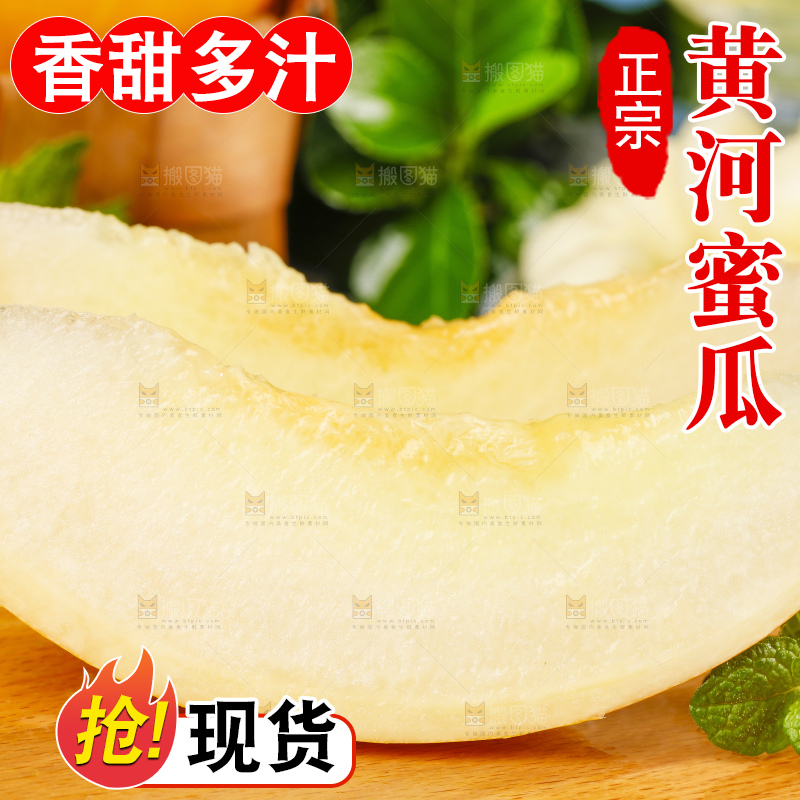 浅底上的黄河蜜瓜