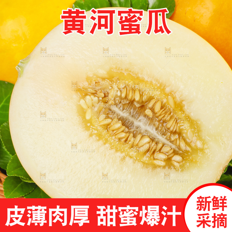 白底上的黄河蜜瓜