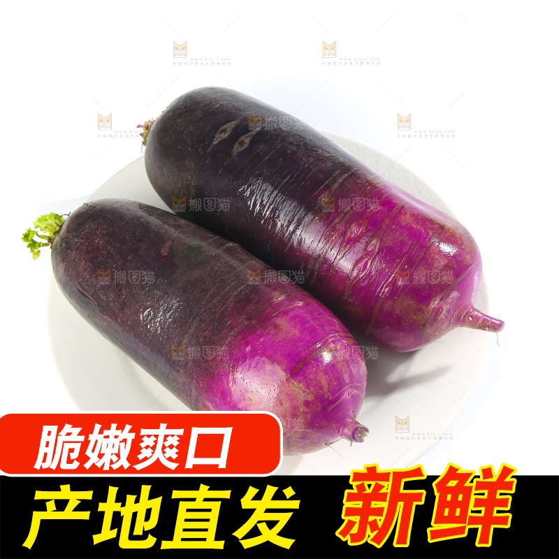 白底上的冰淇凌萝卜