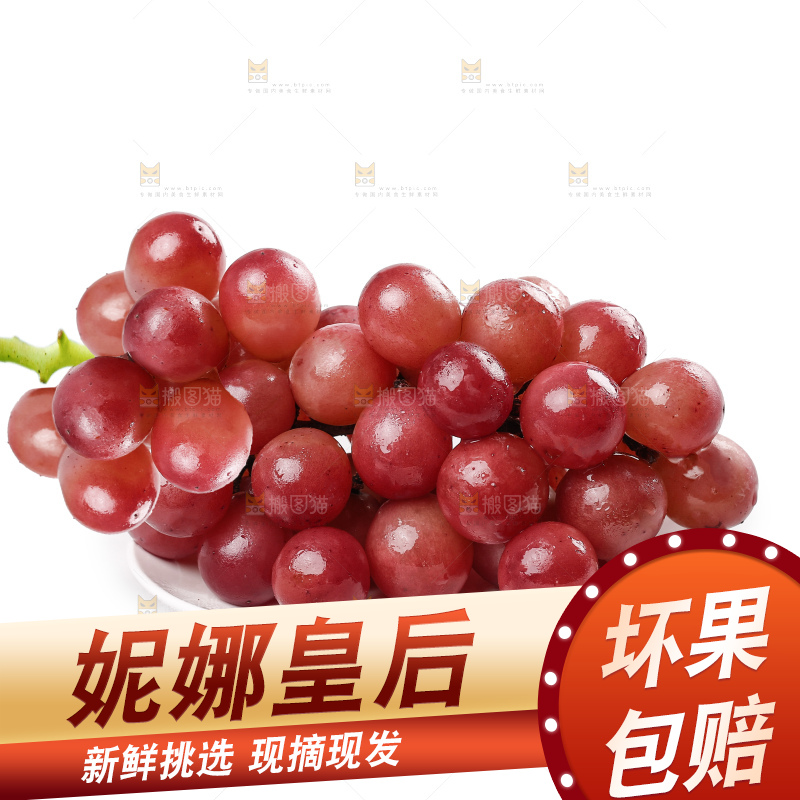 白底上的妮娜皇后葡萄
