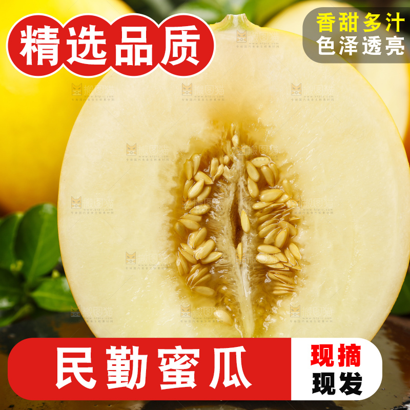 深底上的黄河蜜瓜