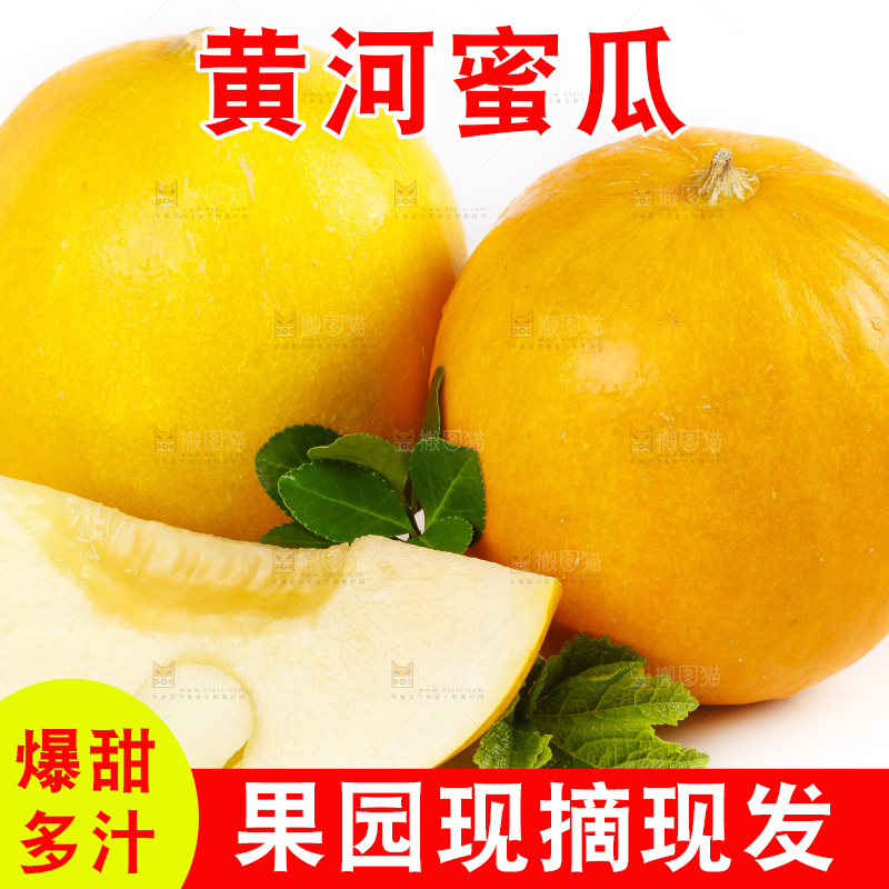 白底上的黄河蜜瓜