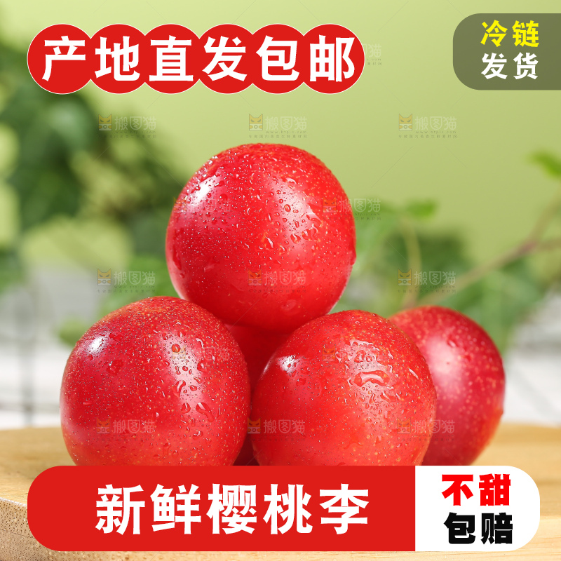 浅底上的樱桃李