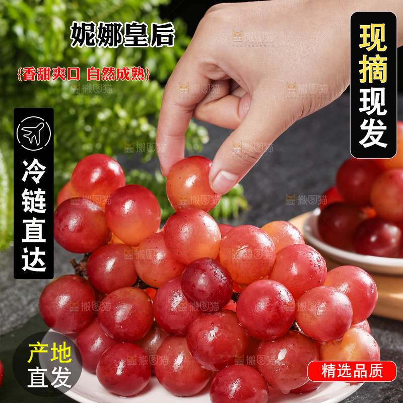 深底上的妮娜皇后葡萄