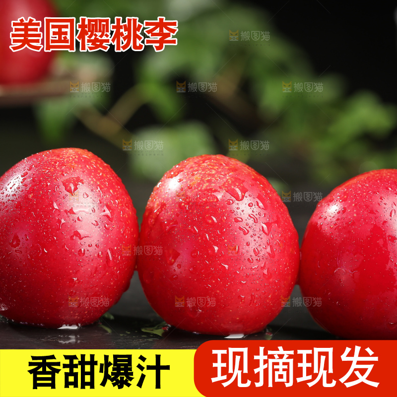 深底上的樱桃李