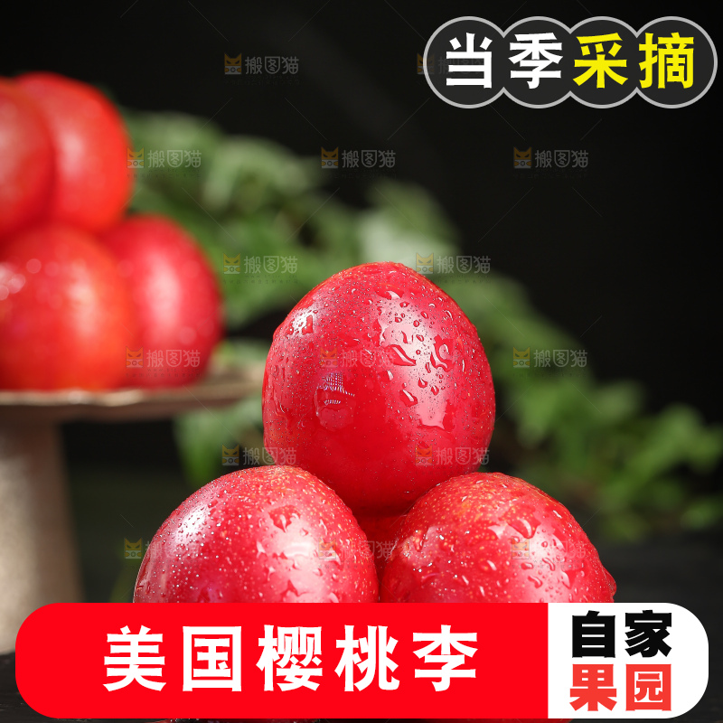 深底上的樱桃李