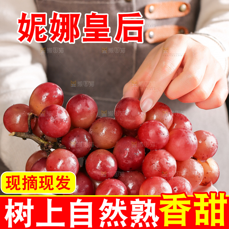 深底上的妮娜皇后葡萄