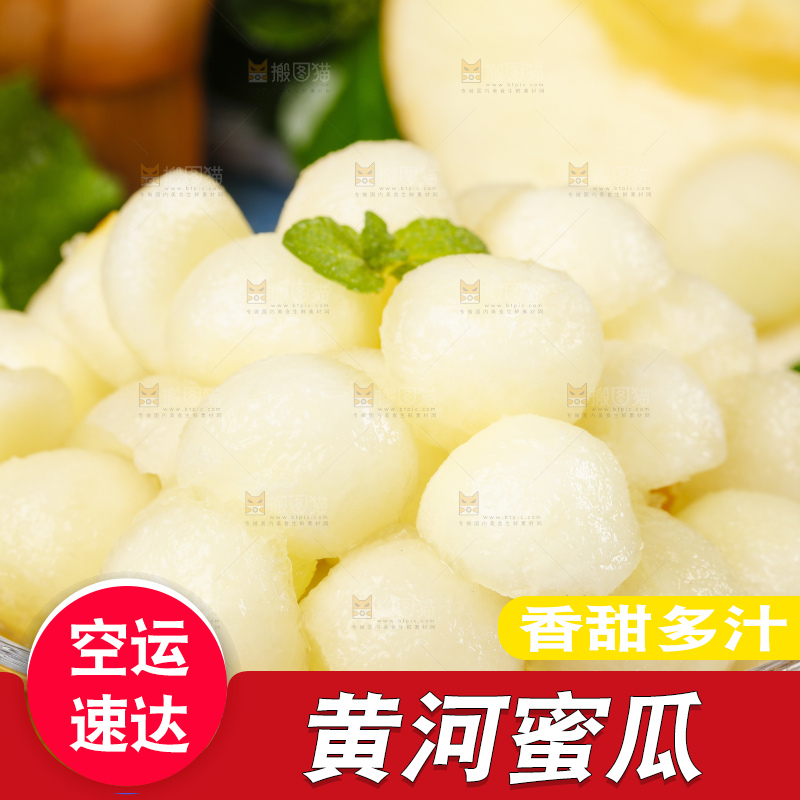 浅底上的黄河蜜瓜