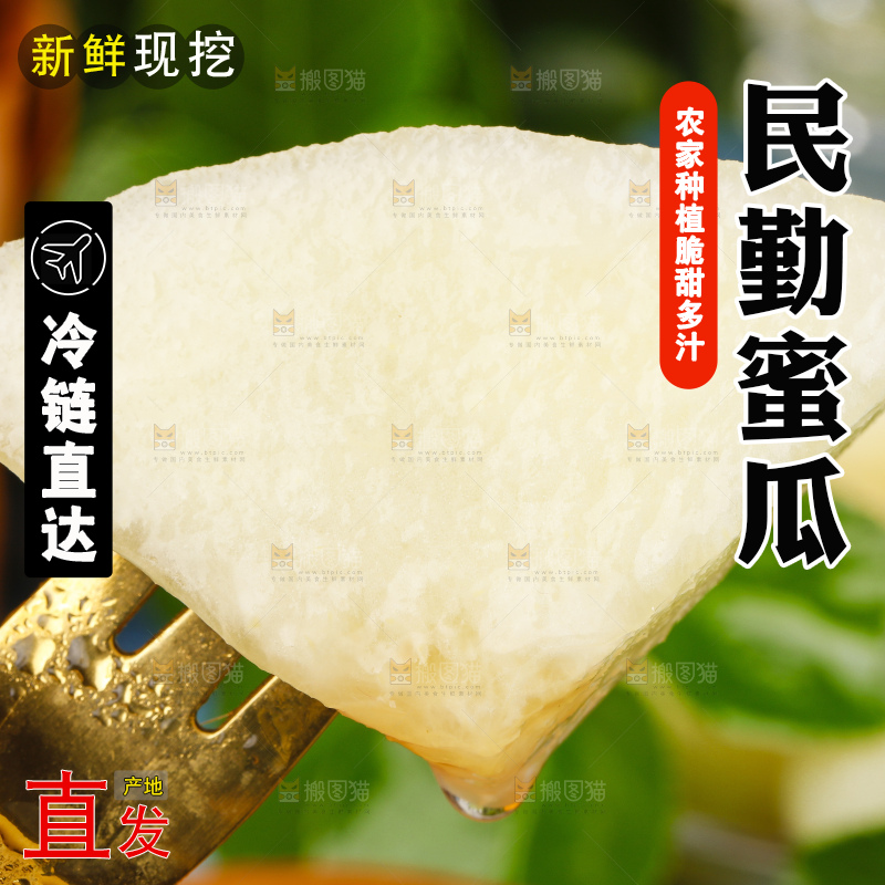 浅底上的黄河蜜瓜